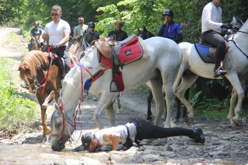 At Turu 7Gün Kapadokya  Kartepe İstanbul