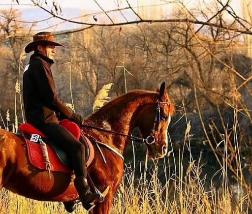 Horseback Riding Tour in Cappadocia 1Day