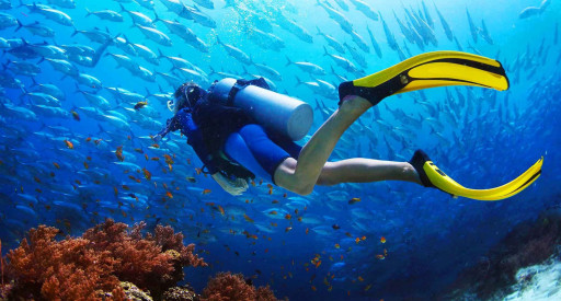 Scuba Diving