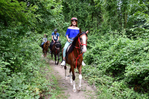 Kartepe Kahvaltı ve At Turu