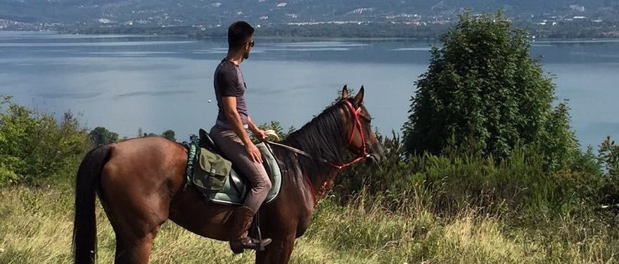 Kartepe At Çiftliği