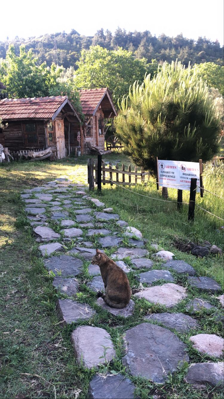 Bursa/Osmangazi At Turu & Kahvaltı