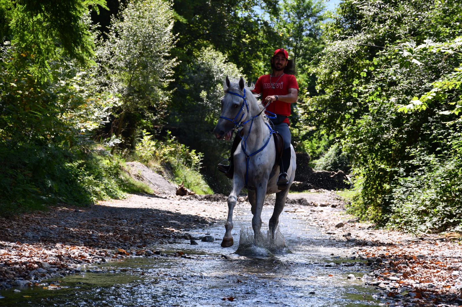 Sapanca At Turu Yarımgün