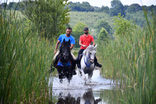 Horseback Riding Tour in Kartepe 2 Hours