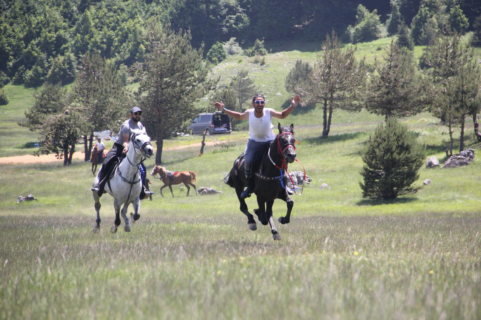 Kartepe At Turu 120 DK.