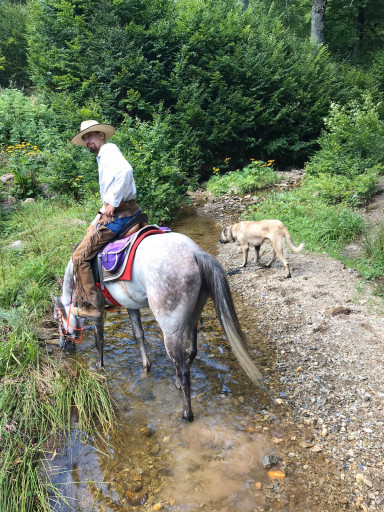 Horseback Riding Tour in Kartepe 1 H