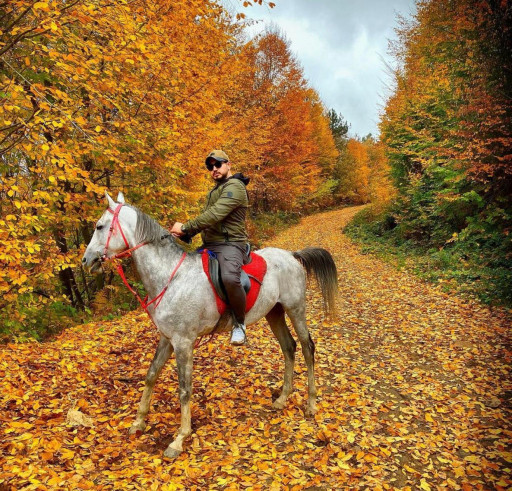 Horseback Riding in İstanbul Beykoz Forests, Fullday