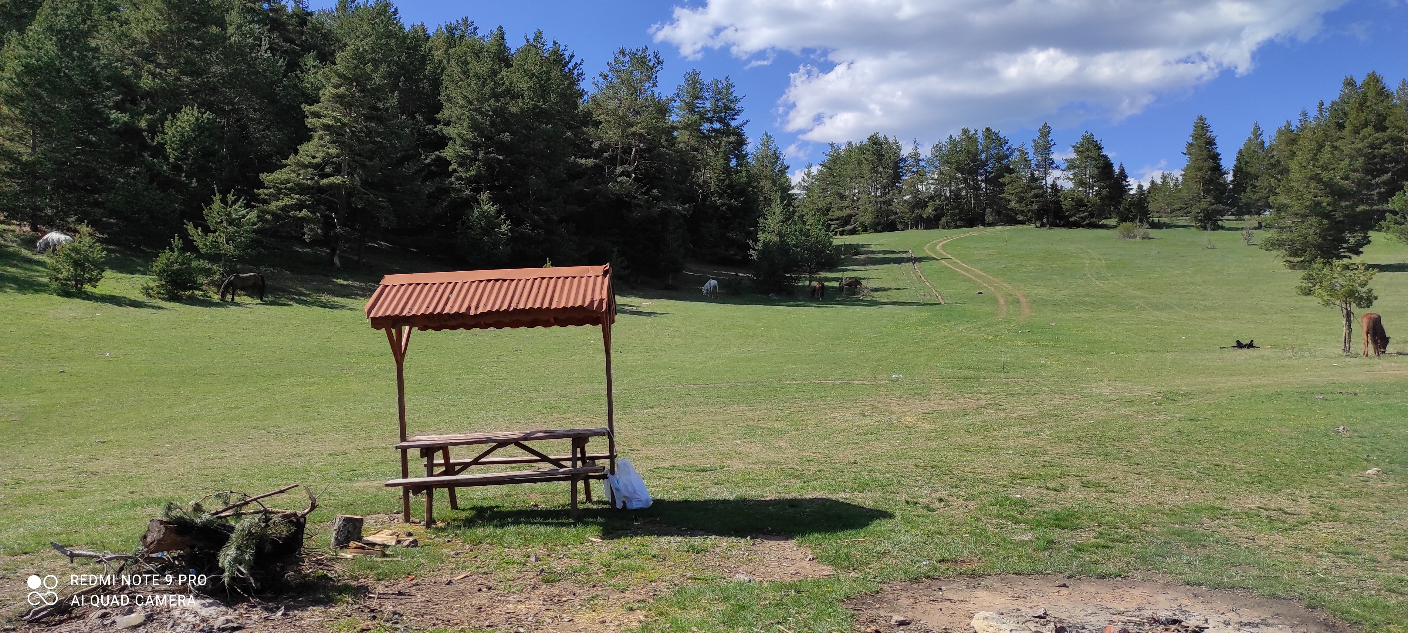 Kastamonu Daday Ormanları Kamplı At Turu