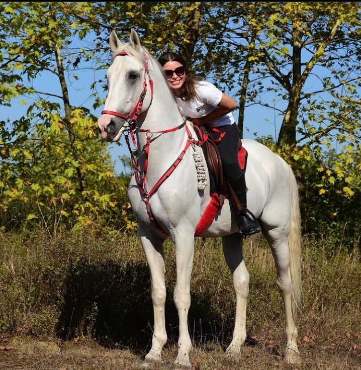 Ankara Dış Çekim At Kiralama