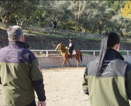 Bursa Accelerated Equestrian Course