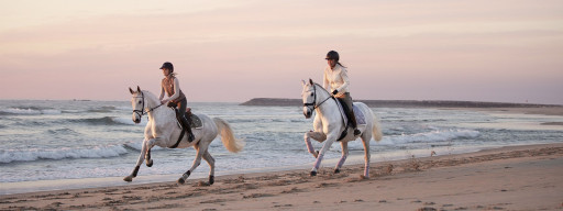 Patara Plajı, Likya Yolu At Turu