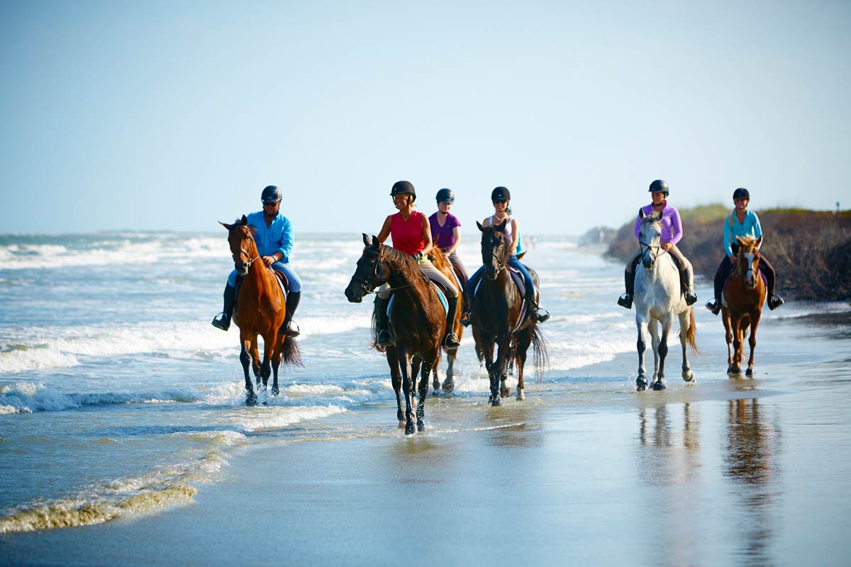 Patara Plajı, Likya Yolu At Turu