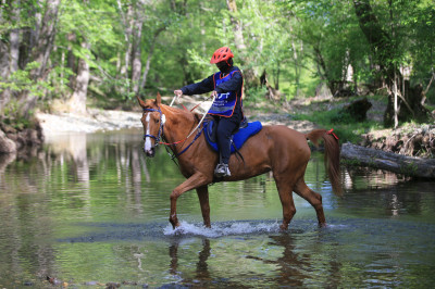 tk cowboy ranch kırklareli turkey