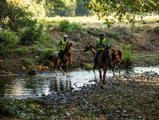 İğneada Istranca Ormanları At Turu (2Gün)