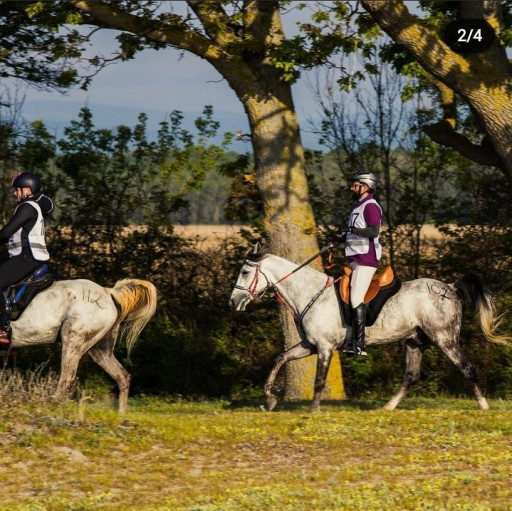 İğneada Longoz Istranca Ormanları At Turu (7Gün)