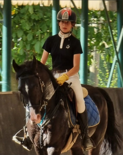 Kocaeli Gebze Equestrian Course