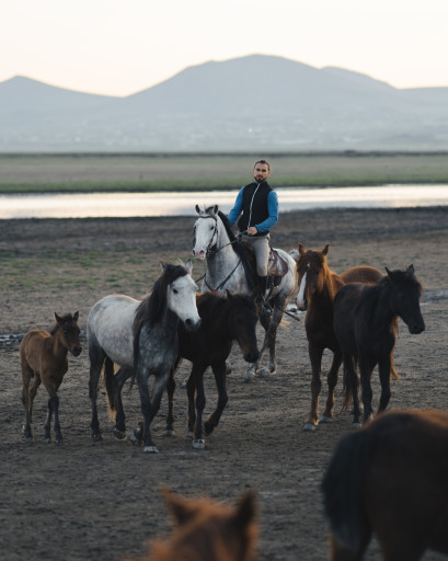 Kapadokya Yılkı Atları ile At Turu Safari (TamGün)