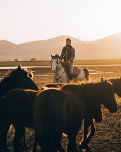 Kapadokya Yılkı Atları ile At Turu Safari 2Saat