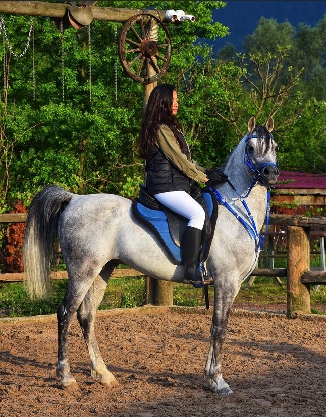 Kartepe Hızlandırılmış Binicilik Eğitimi Tatili
