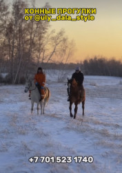 Kazakhstan Horseback Riding Tours