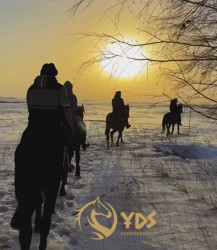 Kazakhstan Horseback Riding Tours