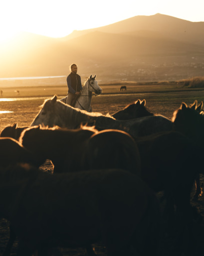 Kayseri Yılkı Atları Fotoğraf Çekimi (YarımGün)
