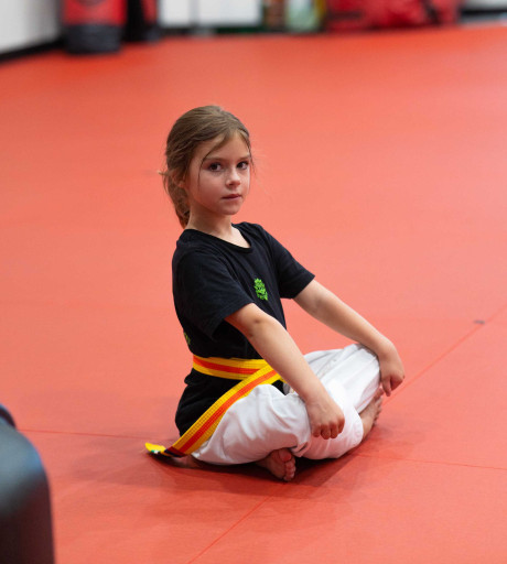 Konya Taekwondo Course