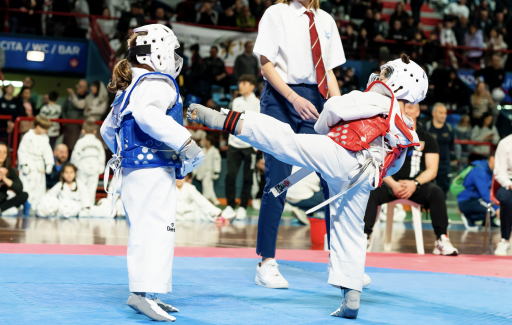 Muğla Taekwondo Course