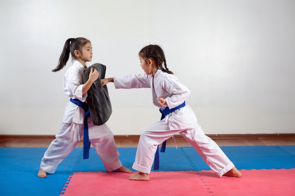 Muğla Taekwondo Kursu