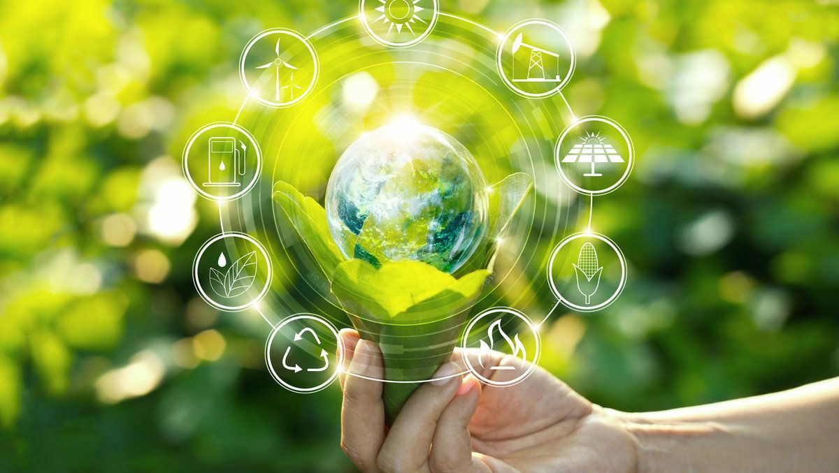 ISO 14001 Çevre Yönetimi Belgesi