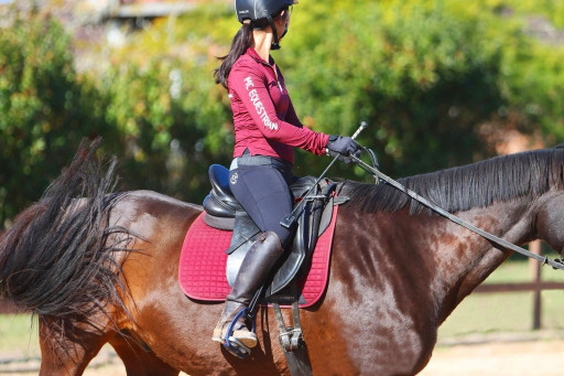 Muğla Horse Riding Course