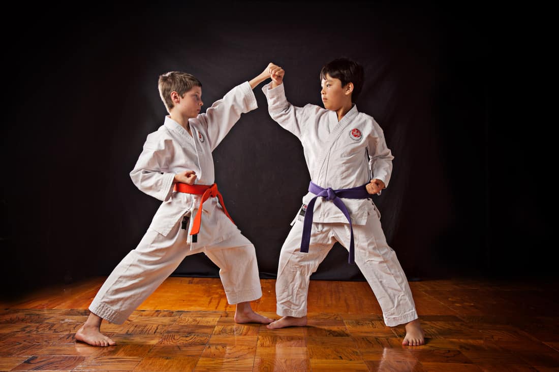 Ankara Karate Kursu  (Özel Ders)