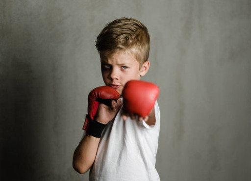 Urla Muay Thai Kursu (Çocuklar için 1'Ders)