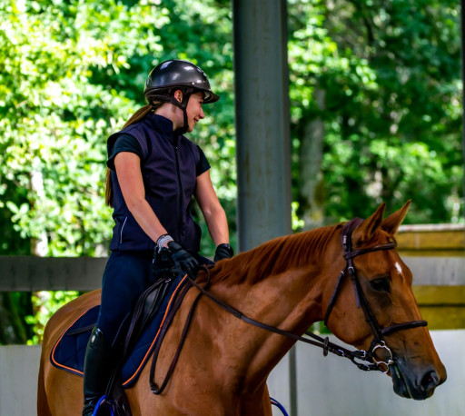 Kartepe Equestrian Course
