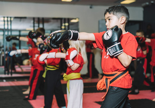 Niğde Kickboks Kursu 8Ders