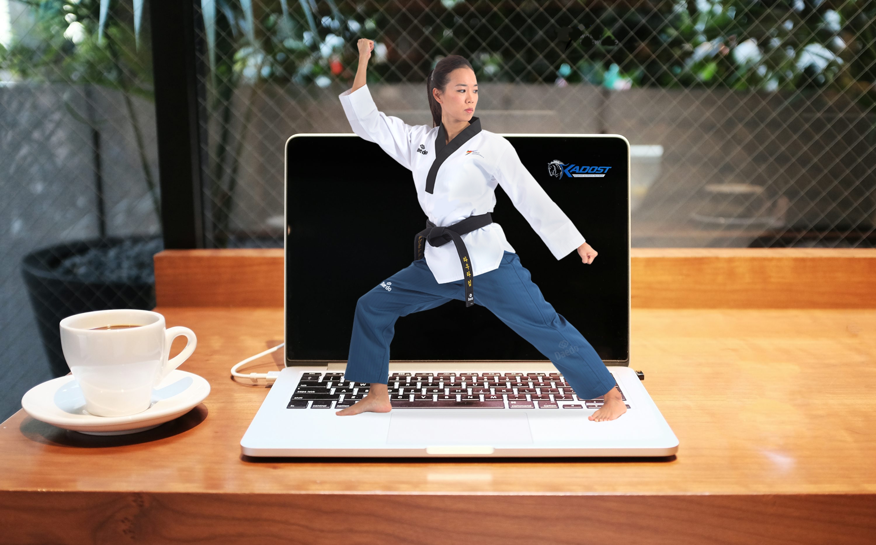 Online Taekwondo Kursu (Grup 8Ders)