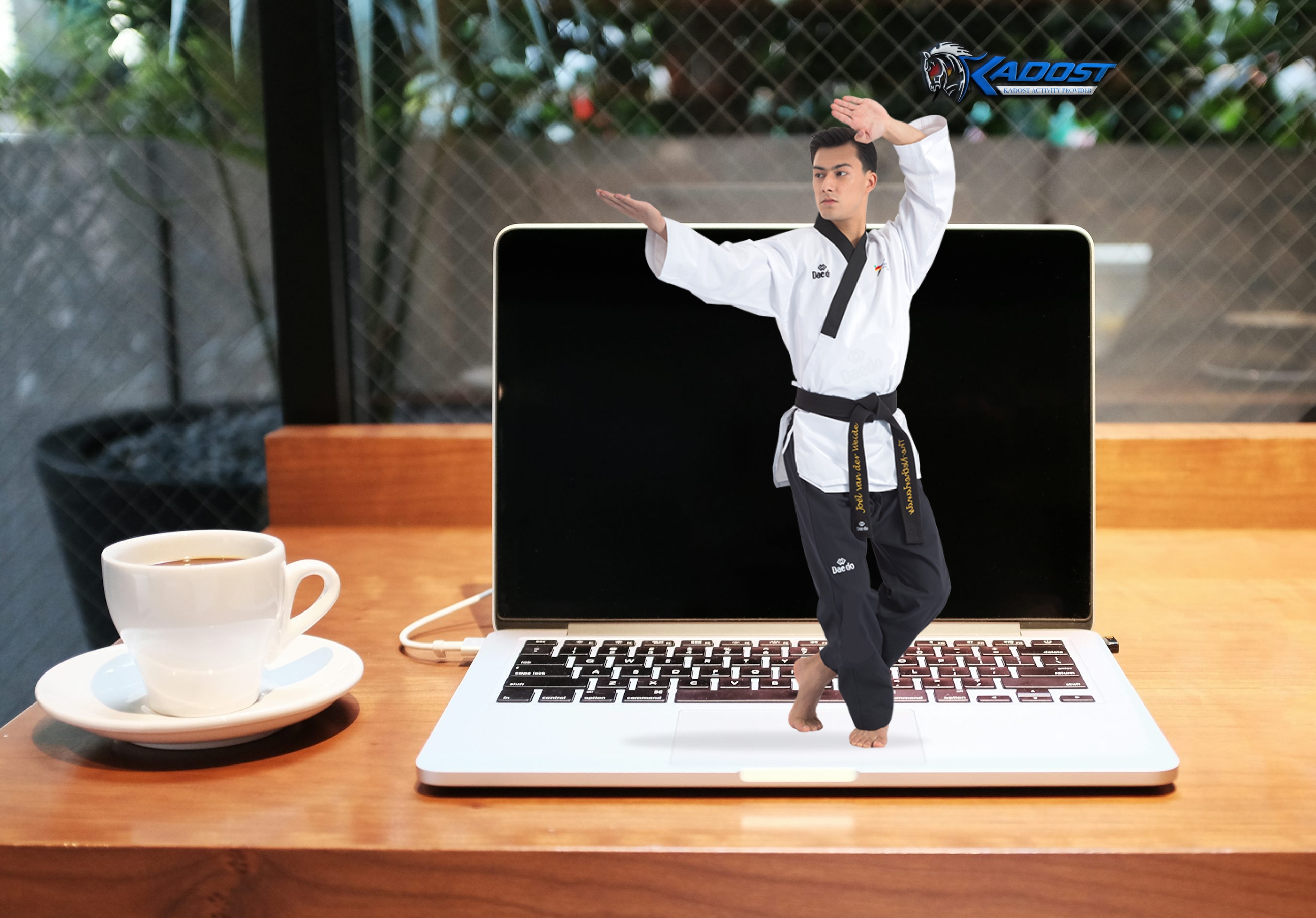 Online Taekwondo Kursu (Grup 1Ders)