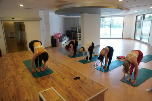 Online Yoga Dersi