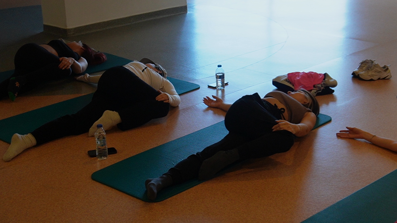 PDC Wellness Kampı: Kısa