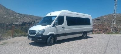 IMG-20250329-WA0049