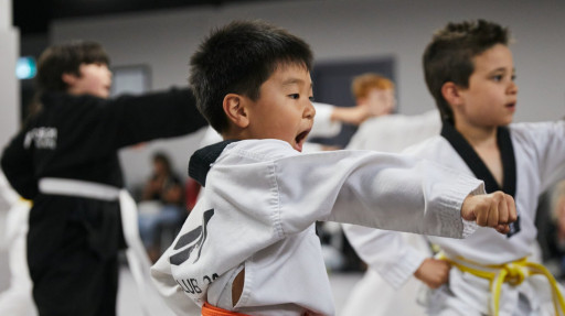 İngilizce Taekwondo Yaz Kampı (Minikler)