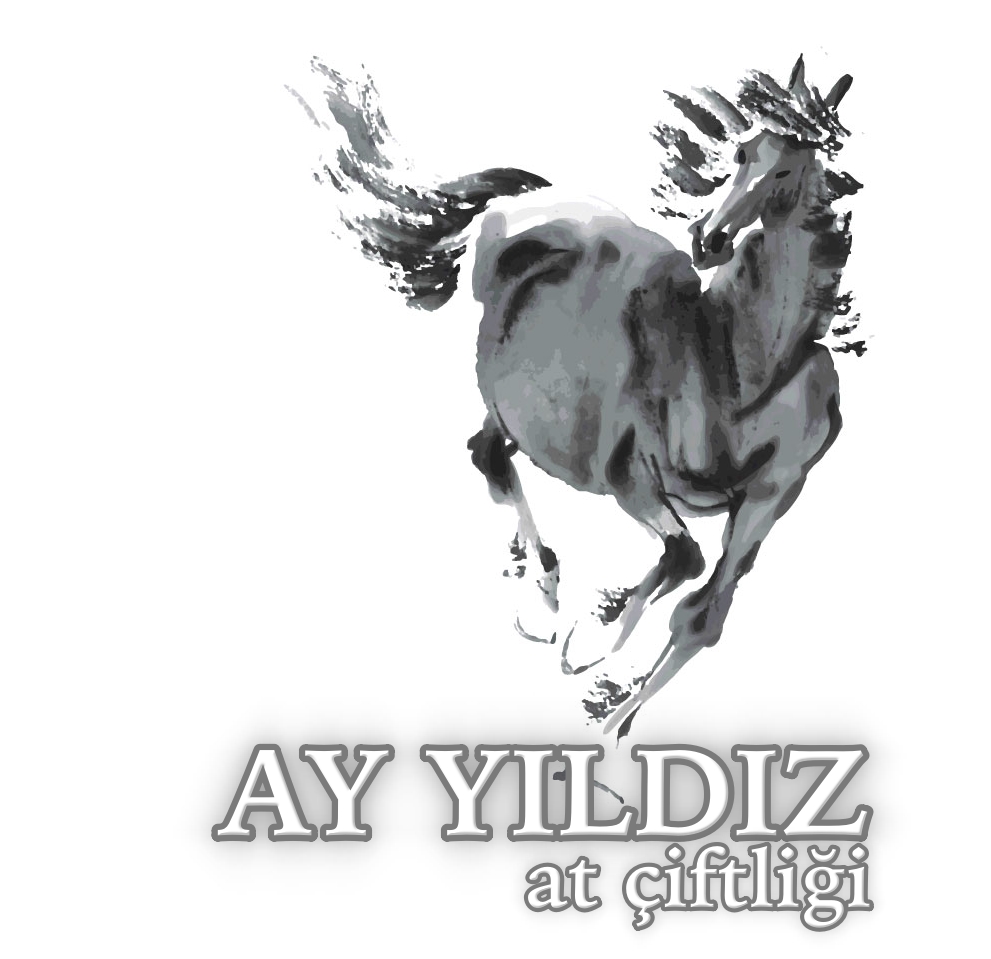 Ay Yıldız At Çiftliği