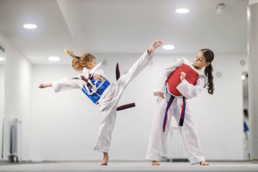 Mamak Taekwondo Kursu