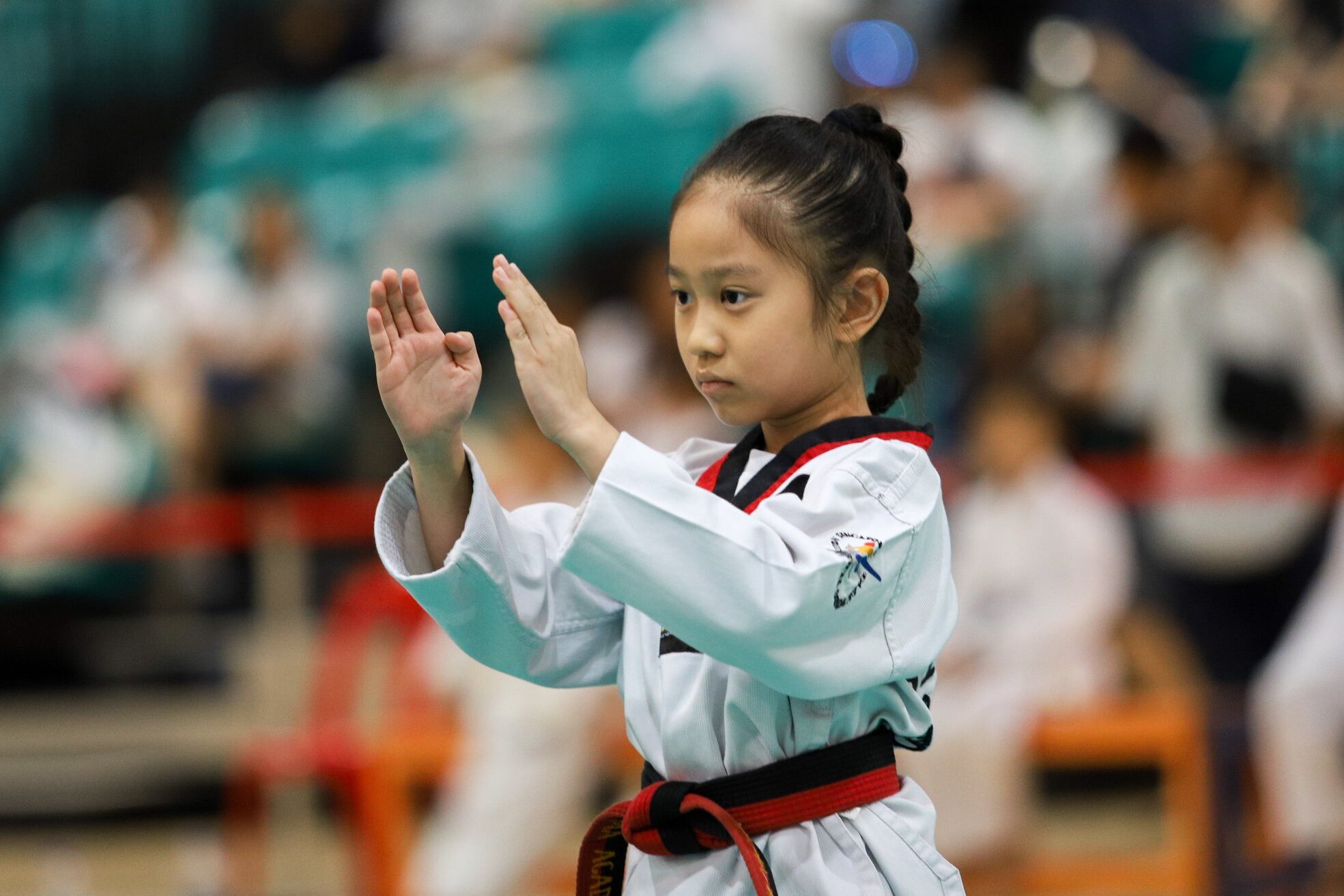 Mamak Taekwondo Kursu