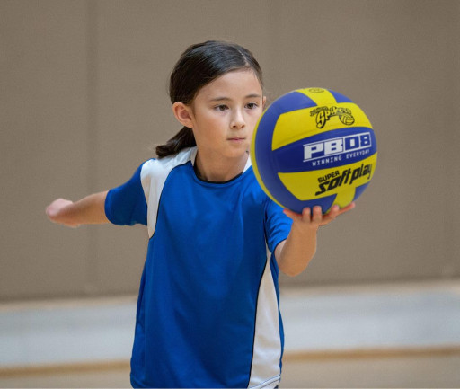 Sakarya Voleybol Kursu