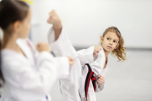 Artvin Taekwondo Kursu