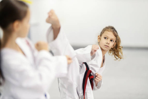 Artvin Taekwondo Kursu
