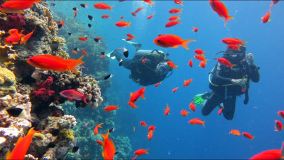 mısır tüplü dalış